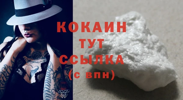 ГАЛЛЮЦИНОГЕННЫЕ ГРИБЫ Абаза
