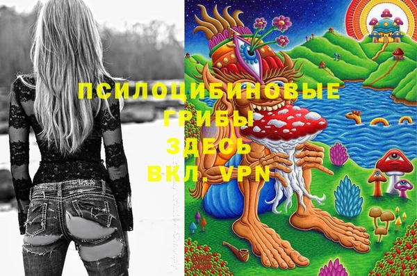 ГАЛЛЮЦИНОГЕННЫЕ ГРИБЫ Абаза